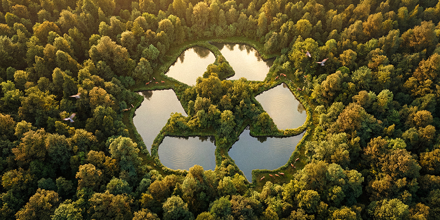 International Day of Zero Waste